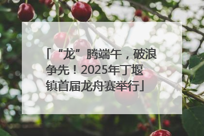 “龙”腾端午，破浪争先！2025年丁堰镇首届龙舟赛举行