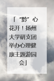 “黔”心花开!扬州大学研支团举办心理健康主题游园会