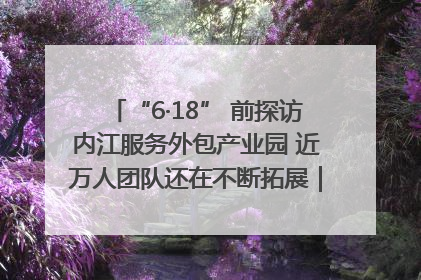 “6·18” 前探访内江服务外包产业园 近万人团队还在不断拓展｜内江东兴“红”在哪⑤