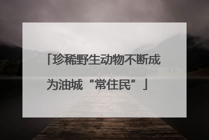 珍稀野生动物不断成为油城“常住民”