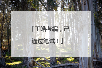 王皓考编，已通过笔试！