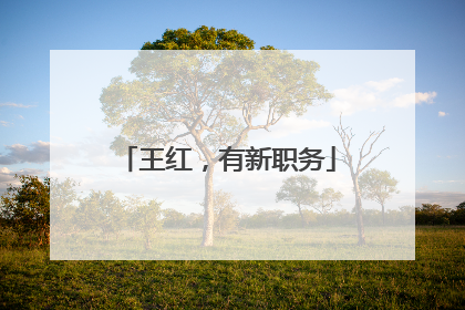 王红，有新职务