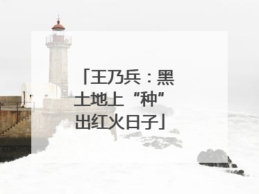 王乃兵：黑土地上“种”出红火日子