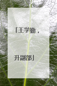 王学勤，升副部