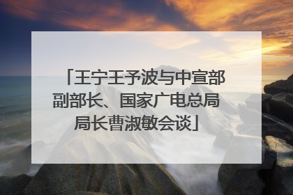 王宁王予波与中宣部副部长、国家广电总局局长曹淑敏会谈