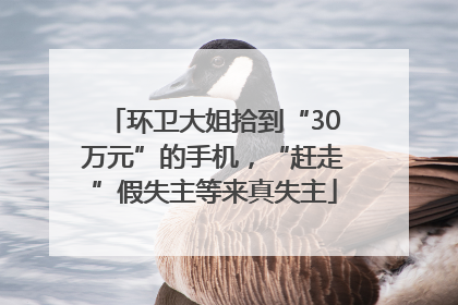 环卫大姐拾到“30万元”的手机，“赶走”假失主等来真失主