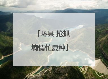 环县 抢抓墒情忙夏种