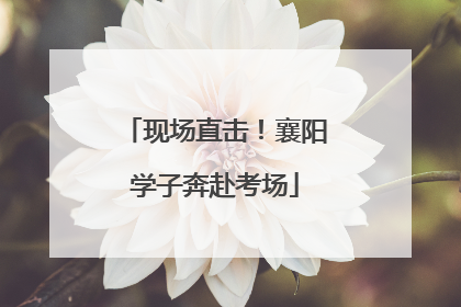 现场直击！襄阳学子奔赴考场