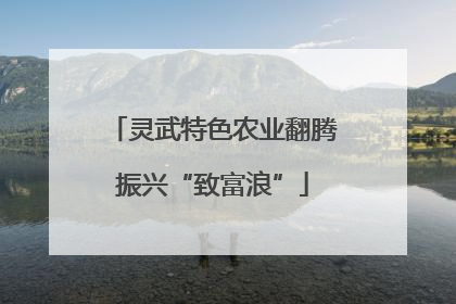 灵武特色农业翻腾振兴“致富浪”