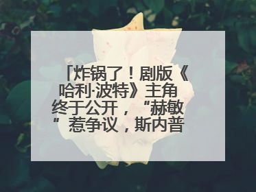 炸锅了！剧版《哈利·波特》主角终于公开，“赫敏”惹争议，斯内普变黑人……