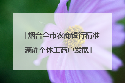 烟台全市农商银行精准滴灌个体工商户发展