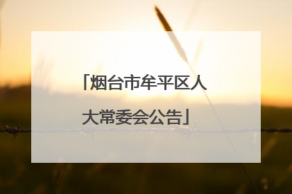 烟台市牟平区人大常委会公告