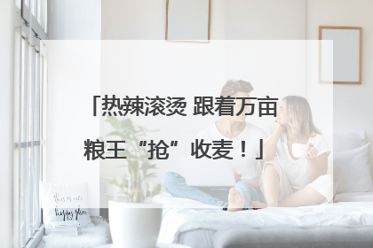 热辣滚烫 跟着万亩粮王“抢”收麦！