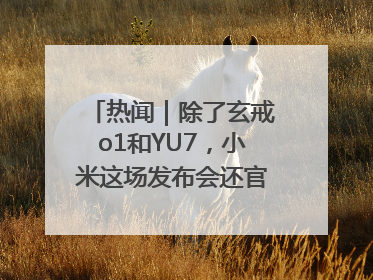 热闻｜除了玄戒o1和YU7，小米这场发布会还官宣了这些新品