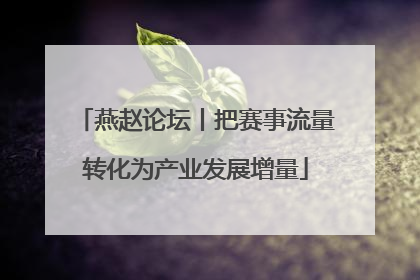 燕赵论坛丨把赛事流量转化为产业发展增量