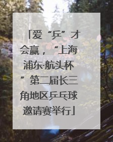 爱“乒”才会赢，“上海浦东·航头杯”第二届长三角地区乒乓球邀请赛举行
