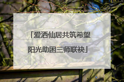 爱洒仙居共筑希望 阳光助困三师联袂