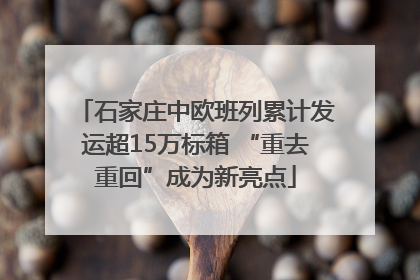 石家庄中欧班列累计发运超15万标箱 “重去重回”成为新亮点