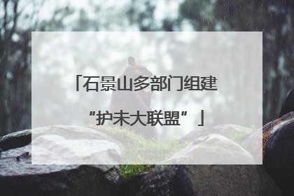 石景山多部门组建“护未大联盟”