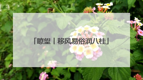瞭望丨移风易俗润八桂