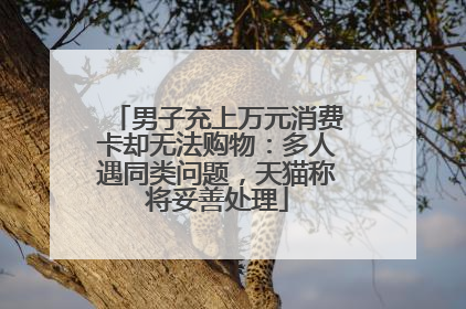 男子充上万元消费卡却无法购物：多人遇同类问题，天猫称将妥善处理