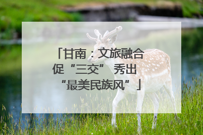甘南：文旅融合促“三交” 秀出“最美民族风”