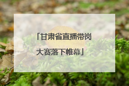 甘肃省直播带岗大赛落下帷幕