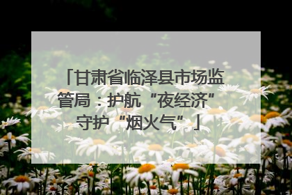 甘肃省临泽县市场监管局：护航“夜经济” 守护“烟火气”