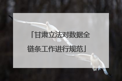 甘肃立法对数据全链条工作进行规范