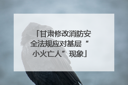 甘肃修改消防安全法规应对基层“小火亡人”现象