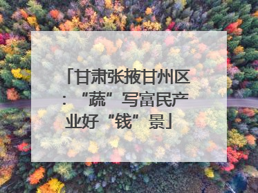 甘肃张掖甘州区：“蔬”写富民产业好“钱”景