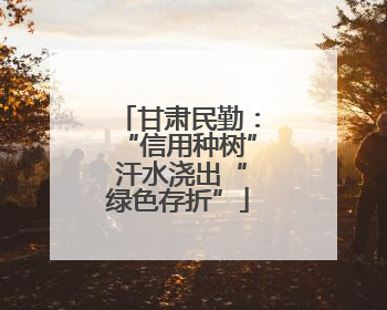 甘肃民勤：“信用种树” 汗水浇出“绿色存折”