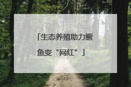 生态养殖助力鳜鱼变“网红”