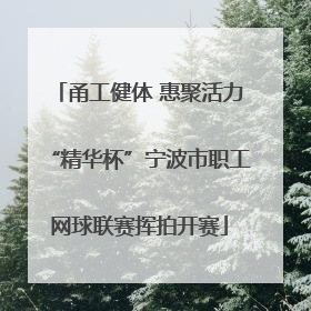 甬工健体 惠聚活力“精华杯”宁波市职工网球联赛挥拍开赛