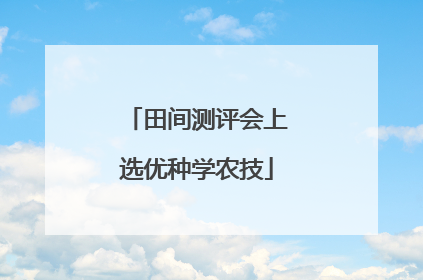 田间测评会上选优种学农技