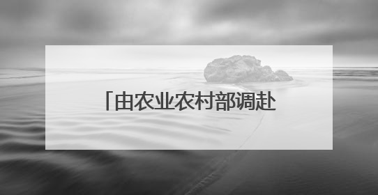 由农业农村部调赴黑龙江一年后，“80后”王杕履新齐齐哈尔副市长