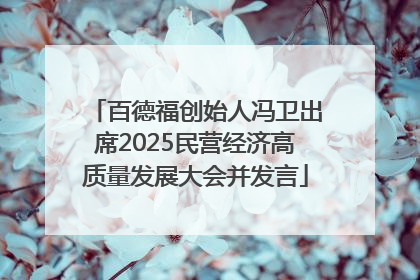 百德福创始人冯卫出席2025民营经济高质量发展大会并发言