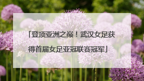 登顶亚洲之巅！武汉女足获得首届女足亚冠联赛冠军