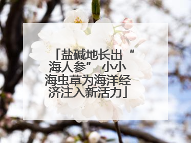 盐碱地长出“海人参” 小小海虫草为海洋经济注入新活力