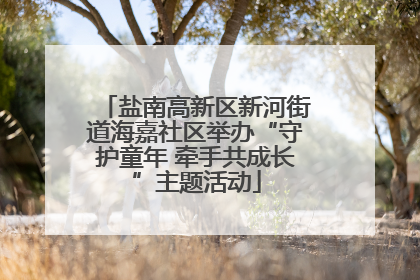 盐南高新区新河街道海嘉社区举办“守护童年 牵手共成长”主题活动