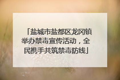 盐城市盐都区龙冈镇举办禁毒宣传活动，全民携手共筑禁毒防线