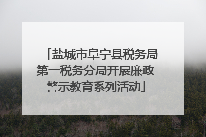 盐城市阜宁县税务局第一税务分局开展廉政警示教育系列活动