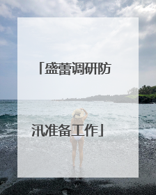 盛蕾调研防汛准备工作