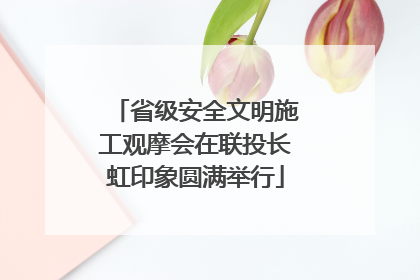省级安全文明施工观摩会在联投长虹印象圆满举行