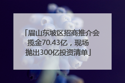 眉山东坡区招商推介会揽金70.43亿，现场抛出300亿投资清单