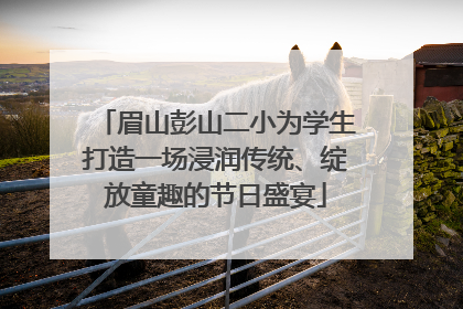 眉山彭山二小为学生打造一场浸润传统、绽放童趣的节日盛宴