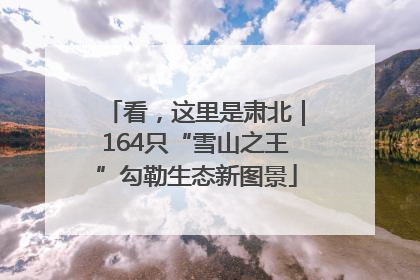 看，这里是肃北｜164只“雪山之王”勾勒生态新图景