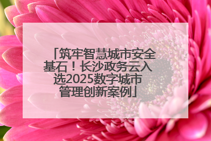 筑牢智慧城市安全基石！长沙政务云入选2025数字城市管理创新案例
