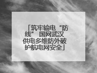 筑牢输电“防线” 国网武汉供电多维防外破护航电网安全