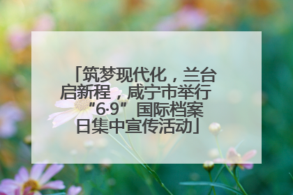 筑梦现代化，兰台启新程，咸宁市举行“6·9”国际档案日集中宣传活动